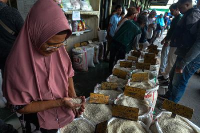 Pembeli memilih kualitas beras di Pasar Induk Beras Cipinang, Jakarta, 12 Februari 2024. TEMPO/Tony Hartawan