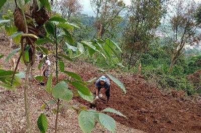 Warga mengolah lahan di Lokasi Prioritas Reforma Agraria di Desa Batulawang, Cipanas, Cianjur, Jawa Barat, 17 Januari 2023. TEMPO/Avit Hidayat
