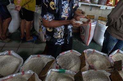 Pembeli memilih kualitas beras di Pasar Induk Beras Cipinang, Jakarta, 12 Februari 2024. TEMPO/Tony Hartawan