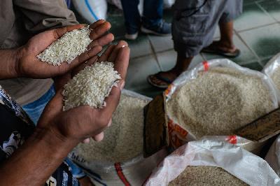 Pembeli beras memilih kualitas beras di Pasar Induk Beras Cipinang, Jakarta, 12 Februari 2024. TEMPO/Tony Hartawan
