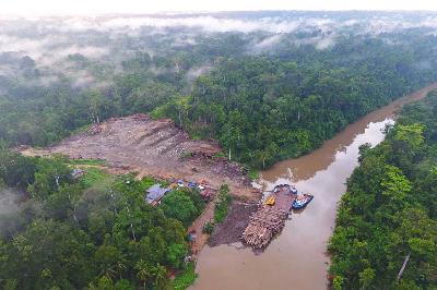 Konsesi hutan di Kabupaten Kaimana, Papua Barat, April 2021. Dok.Majalah Tempo/Forest Watch Indonesia