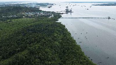 General view of mangrove area at Balikpapan Bay, one of the nearby areas of Nusantara Capital City, in East Kalimantan, March 7, 2023.
REUTERS/Willy Kurniawan
