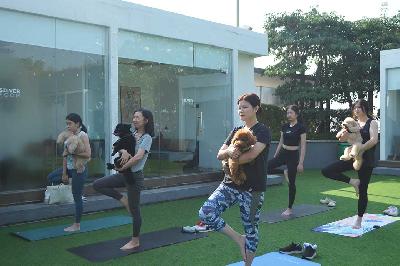 Suasana kegiatan Yoga with Dog (Doga) di kawasan Pantai Indah Kapuk (PIK), Jakarta, 8 Juni 2024 . TEMPO/Adinda Jasmine