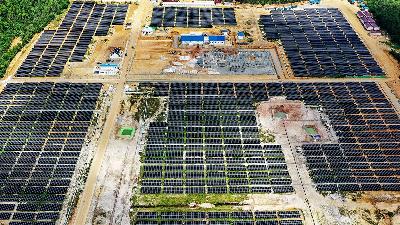 The IKN Solar Power Plant (PLTS) in North Penajam Paser, East Kalimantan, August 1.
ANTARA/Hafidz Mubarak A
