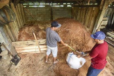 Pekerja mengumpulkan serbuk kayu untuk dijadikan sebagai substitusi bahan bakar Pembangkit Listrik Tenaga Uap (PLTU) di Desa Sintung, Kecamatan Pringgarata, Lombok Tengah, Nusa Tenggara Barat, Januar 2023. ANTARA/Ahmad Subaidi