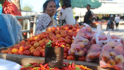 Seorang penjual tomat menunggu pelanggan di Pasar Inpres, Kota Kupang, Nusa Tenggara Timur 7 Agustus 2024. BPS menyebutkan NTT mengalami deflasi sebesar -0,32 persen atau inflasi 0,85 persen karena dipicu penurunan harga sejumlah komoditas hortikultura, seperti bawang merah, tomat, kangkung, cabai rawit, dan bawang putih. ANTARA/Mega Tokan