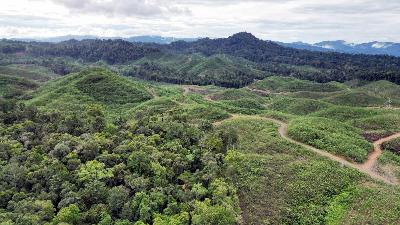 Area hutan tanaman energi PT Bayan Tumbuh Lestari di Gorontalo, 26 Agustus 2024. (Dok. Burhanuddin Direktur Operasional PT BJA)