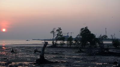 Coastal erosion along the shores of Karimun Besar Island, Karimun Regency, Riau Islands, March 24.
TEMPO/Yogi Eka Sahputra
