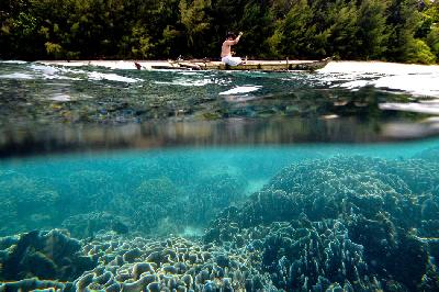 Pengunjung melintas di atas terumbu karang di Pulau Kebori, Meosmangguandi, Biak, Papua. TEMPO/Tony Hartawan