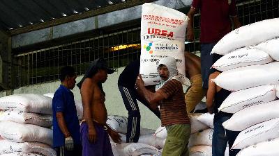 Workers transport urea fertilizer produced by PT Pupuk Indonesia at the Line 2 warehouse in Campang Jaya, Sukabumi, Bandar Lampung, Lampung, Monday, November 1, 2024. ANTARA FOTO/Ardiansyah