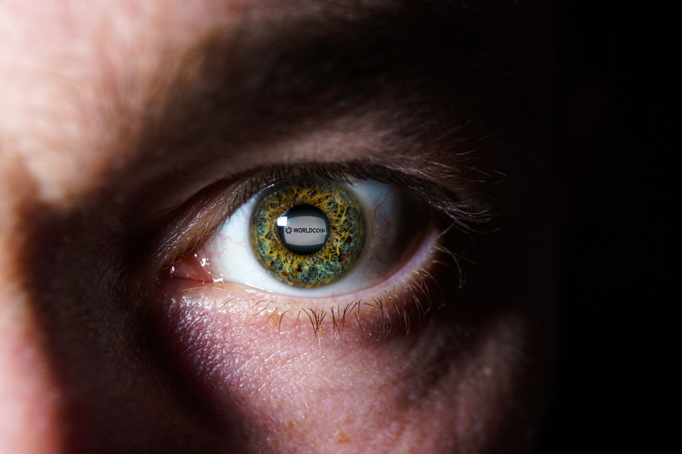 Cara Kerja Biometrik Iris Mata Worldcoin untuk Dompet Digital