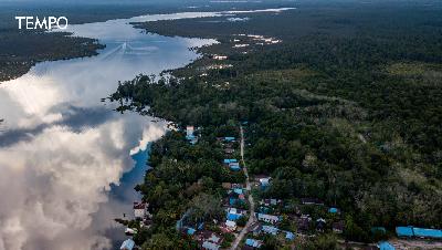 Forests for Tycoons