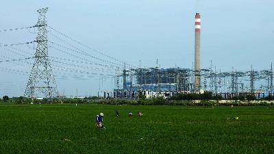 Petani merawat sawah di area sekitar PLTU Indramayu di Desa Mekarsari, Indramayu, Jawa Barat, 23 Desember 2024. Pemerintah berencana membangun PLTU sebesar 6,3 gigawatt dalam Rencana Usaha Penyediaan Tenaga Listrik (RUPTL) PLN 2025–2034, karena lemahnya komitmen transisi energi global. Tempo/Prima mulia