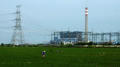 Farmers tend to their rice fields near a steam power plant in Mekarsari Village, Indramayu, West Java, December 23, 2024. Tempo/Prima Mulia