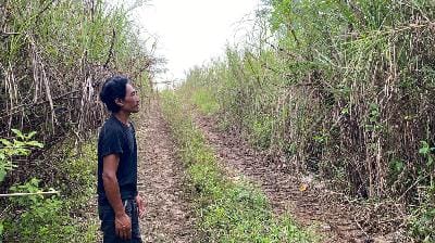 Ujang Cucut, warga setempat saat menunjukan lokasi rumah contoh yang sudah tertutup semak belukar di proyek perumahan Sukabumi Sejahtera 1, di Kampung Cioray, Desa Bojongraharja, Kecamatan Cikembar, Kabupaten Sukabumi, 8 Juli 2025. Foto : Asep Awaludin