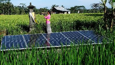 Residents pray near solar panels installed in rice fields of Keliki Village, a community powered by new and renewable energy, Gianyar, Bali, Sept. 16, 2022. Antara/Nyoman Hendra Wibowo