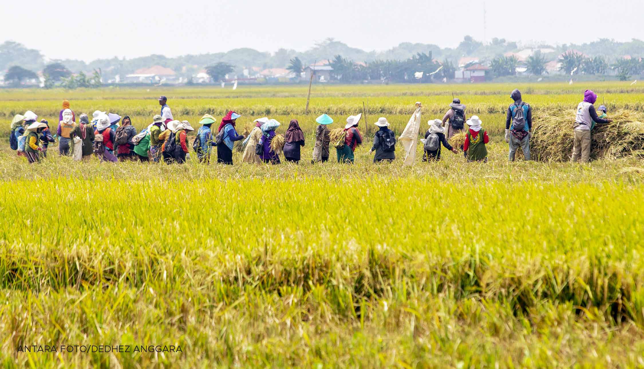 Pembangunan Ramah Lingkungan dan Perempuan | tempo.co