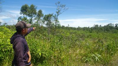 Lambok Lumban Gaol, a member of the Pandumaan Sipituhuta community and staff of the Community Initiative Study and Development Group, points to a benzoin forest in North Tapanuli, North Sumatra, March 5, 2026. Tempo/Fachri Hamzah