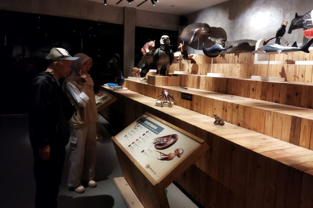 Fauna Exhibit