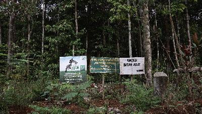 A view of the Pikul Customary Forest Area, Bengkayang, West Kalimantan, November 15, 2019. Doc. Tempo/Muhammad Hidayat