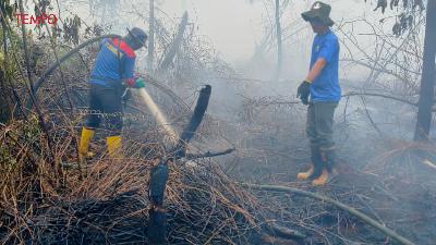 Jalan Angkasa Pura 2  Kecamatan Sungai Raya Kabupaten Kubu Raya, Kalimantan Barat, 28 Januari 2026.  Dok. Bimpi Permata Restu Tim Cegah Api Greenpeace 