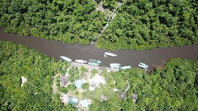 The Tanjung Puting National Park area in Central Kalimantan, Borneo. Shutterstock/Firdaus Avianto