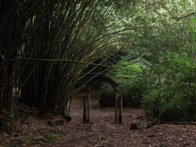 Sabuk Bambu Penjaga Semeru Ilmu Dan Teknologi Koran Tempo Co Sabuk Bambu Penjaga Semeru Ilmu Dan Teknologi Koran Tempo Co