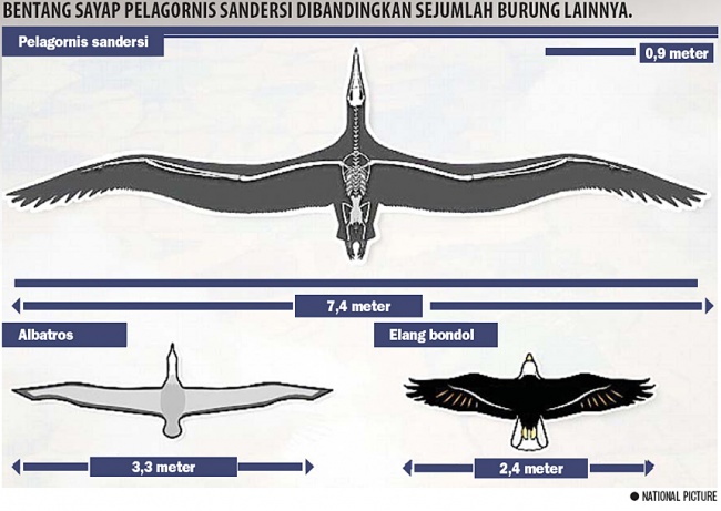 Kepak Sayap Burung Terbesar Ilmu Dan Teknologi Koran Tempo Co