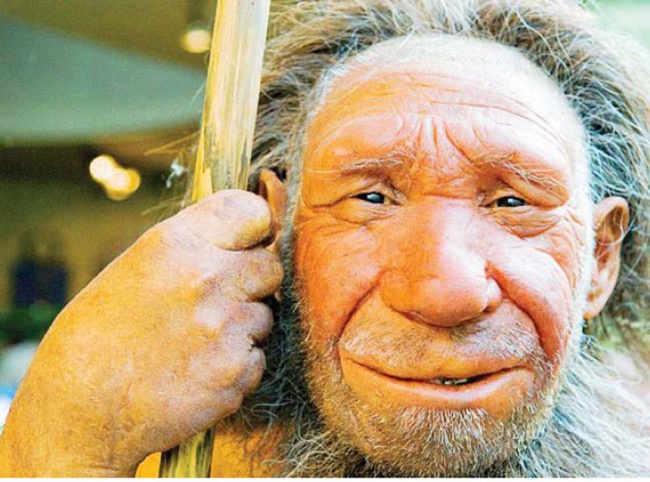 Manusia Neanderthal Dua Kali Kawin Dengan Orang Asia Ilmu Dan