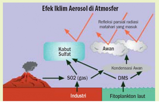 Fitoplankton Pengaruhi Perubahan Iklim Ilmu Dan Teknologi Koran Tempo Co