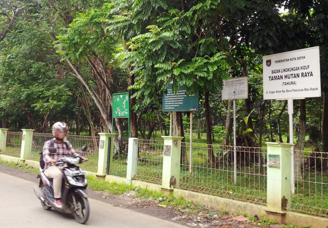 Taman Hutan Diubah Jadi Kebun Raya Korantempoco