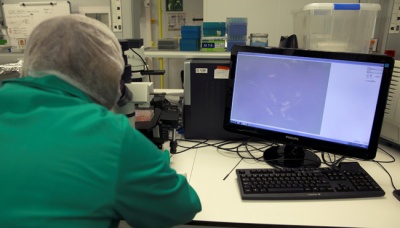 Seorang ilmuwan menggunakan mikroskop untuk memeriksa sampel kulit manusia diperoleh dari bioprinter prototipe 3D di Carlos III University di Getafe, Spanyol, 2 Februari 2017. REUTERS/Sergio Perez