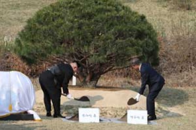 Kisah Pohon di Perbatasan Korea