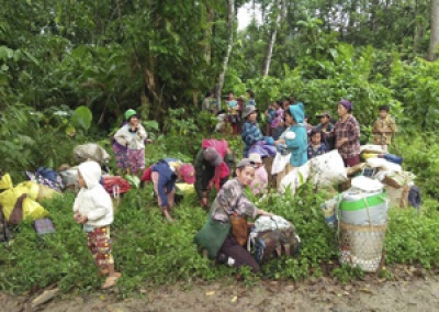 Ribuan Etnis Kachin di Myanmar MengungsiRibuan Etnis Kachin di Myanmar Mengungsi