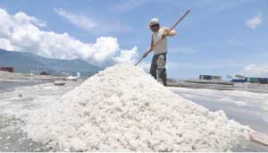 KEMENTERIAN Perindustrian menjamin penyerapan garam hasil petani lokal tak terganggu masuknya produk impor sebanyak 676 ribu ton.