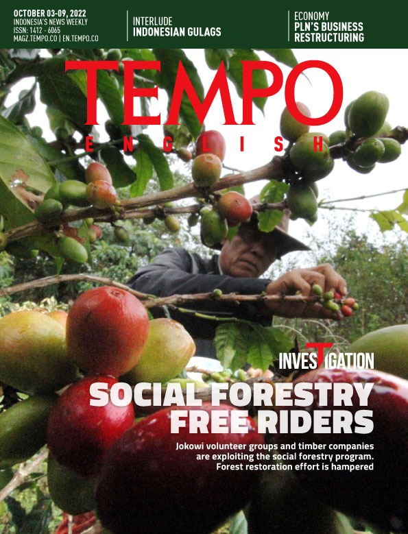 Cover Magz Tempo - TE2308 - Social Forestry Free Riders