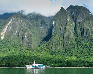Papua's Biological Treasure Trove