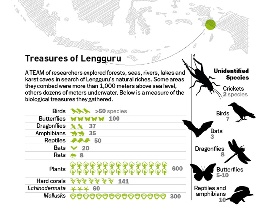 Papua's Biological Treasure Trove