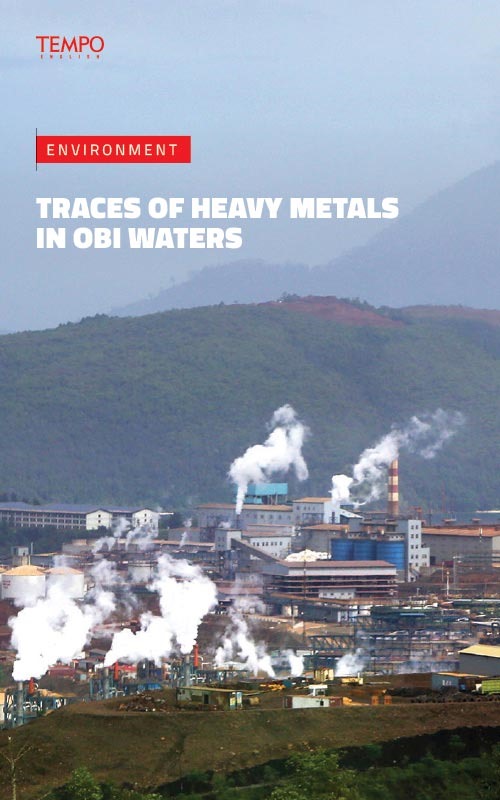 Cover Magz Tempo - TE2615 - The Grain Illusion