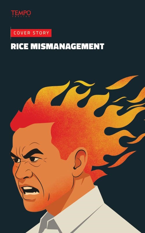 Cover Magz Tempo - TE2615 - The Grain Illusion