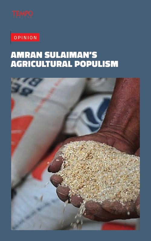 Cover Magz Tempo - TE2615 - The Grain Illusion